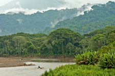 Tarcoles River 4U5B2418