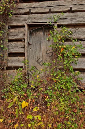 Abandon-Cabin1-4U5B4980