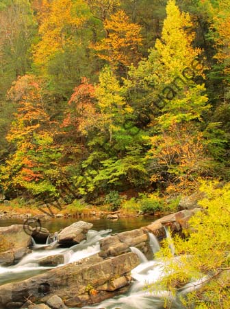 Autumn-Falls-4908