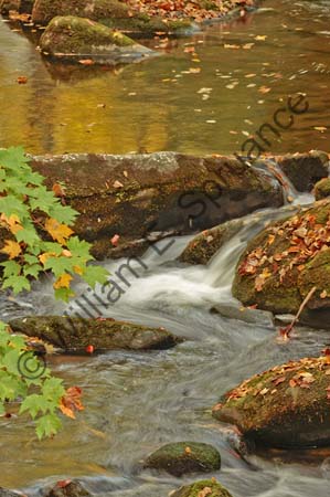 Autumn-Falls2-3U5B4879