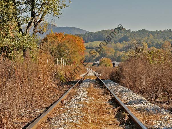Autumn-Tracks-3U5B5051