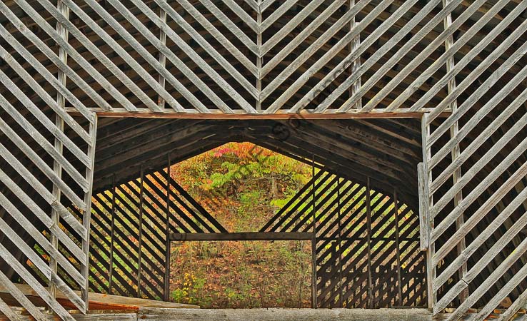 Barn-Skeleton-4U5B4810