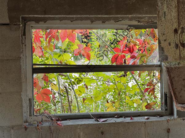 Barn-Window-3U5B5157