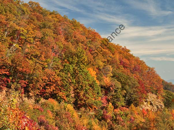 Blue-Ridge-Parkway-U5B5508