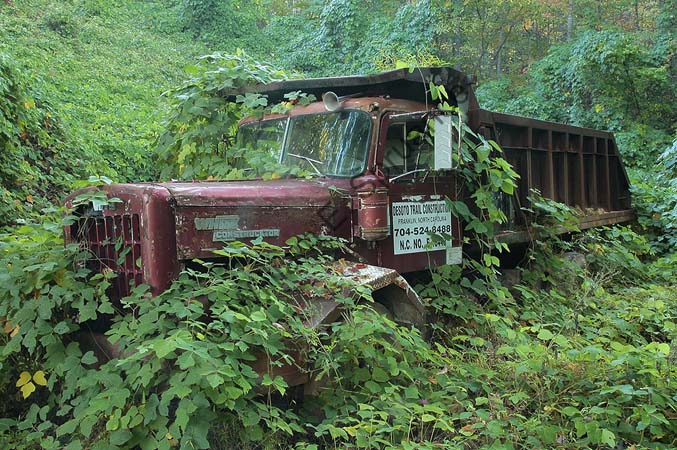 Cudzoo-Truck-3U5B5215