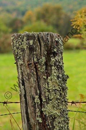 NC-Fence-Post-4U5B4822