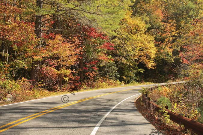Roadside1-3U5B5270