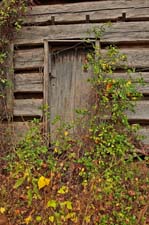 Abandon-Cabin1-4U5B4980
