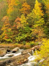 Autumn-Falls-4908