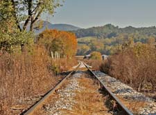 Autumn-Tracks-3U5B5051