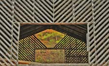 Barn-Skeleton-4U5B4810