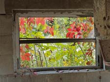 Barn-Window-3U5B5157