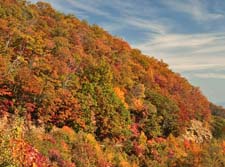 Blue-Ridge-Parkway-U5B5508