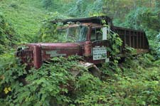 Cudzoo-Truck-3U5B5215