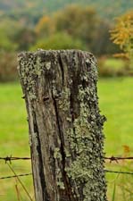 NC-Fence-Post-4U5B4822