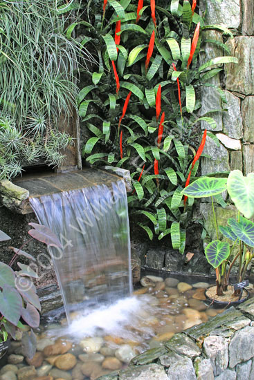 Waterfall-2275
