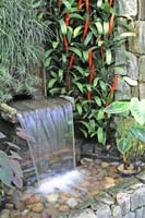 Waterfall-2275