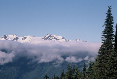 S222-47