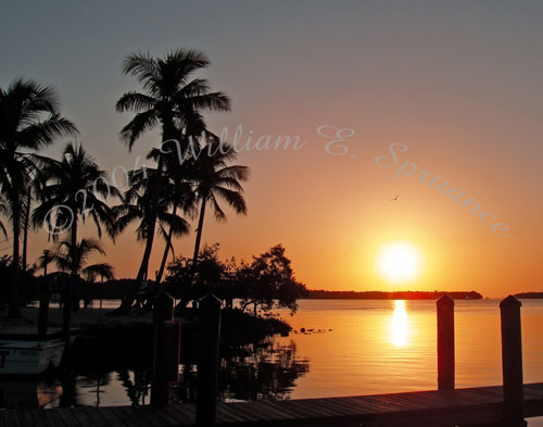 Islamorada-P2210005