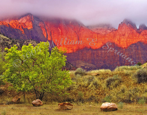 Zion-Sunrise-2-PB150003