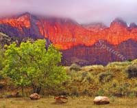 Zion-Sunrise-2-PB150003