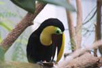 The Dallas World Aquarium and Zoological Garden