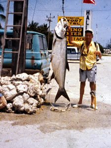 fish